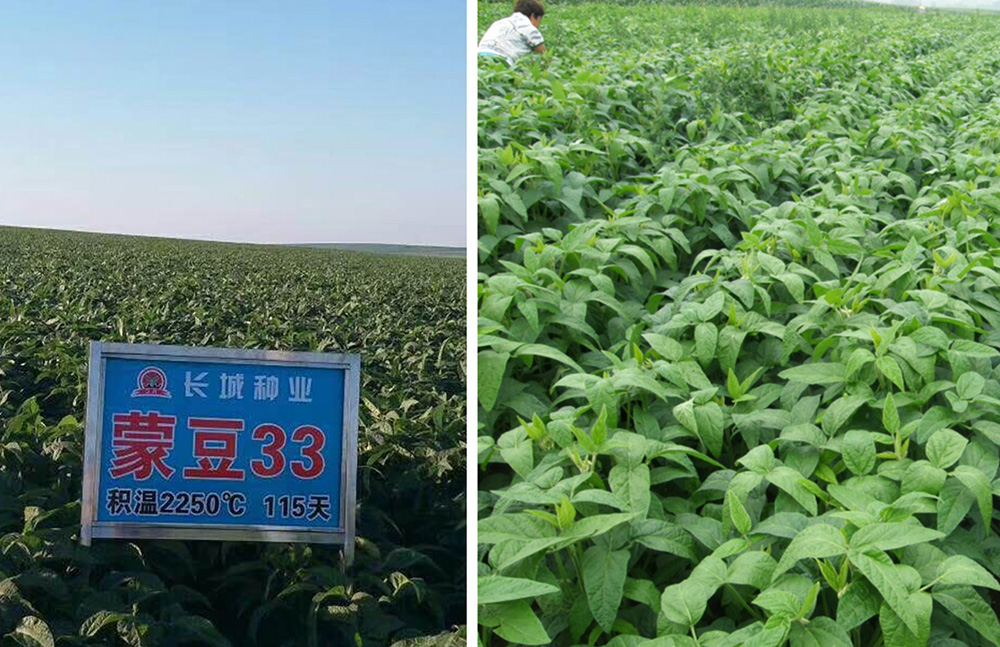 1553745023113157.jpg 3302.jpg