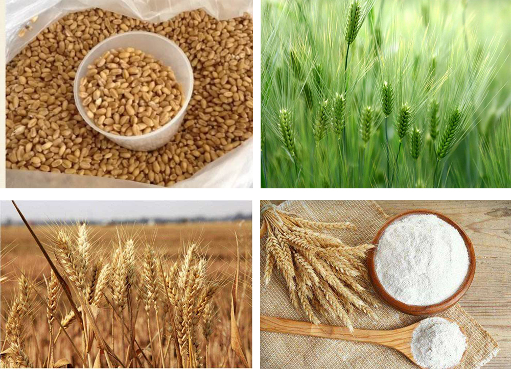 1553761166206583.jpg 未標(biāo)題-1.jpg