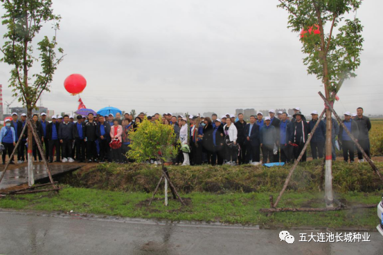 1600655916755978.png 8.png